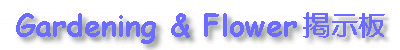 Gardening & Flower �f����