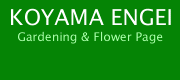 KOYAMA ENGEI Gardening & Flower Page